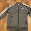 Adidas sst college