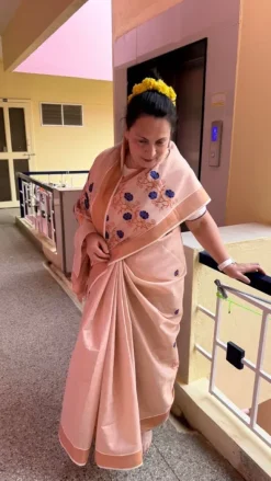 Indian sari