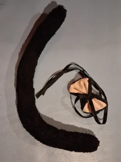 Kissan häntä ja -kulkunen