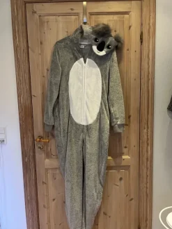 Kostume koala bjørn