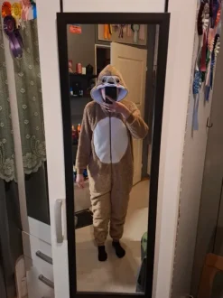 Laiskiais naamiaisasu