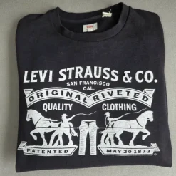 Levi's college