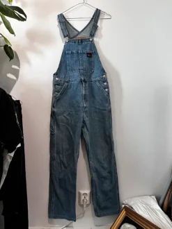 Levis lappuhaalari