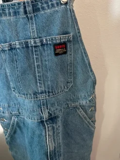 Levis lappuhaalari