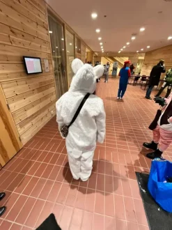 Penkkariasu valkoinen karhu