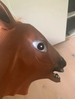 Sjov heste mask meme til halloween eller fest