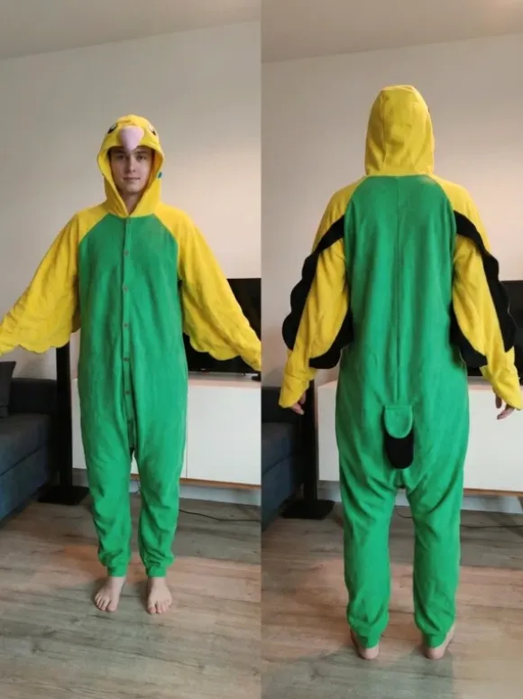 Stój papużki falistej