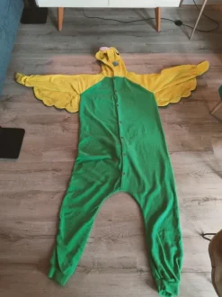 Stój papużki falistej