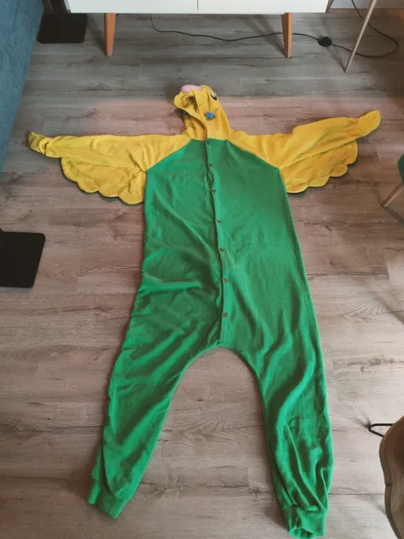 Stój papużki falistej