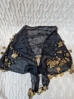 Žvanganti skara su ,,pinigėliais,,vakarėliui, šokiams